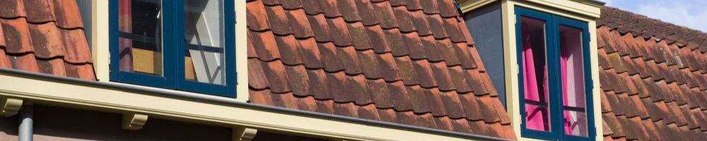 Dakrenovatie Voorthuizen